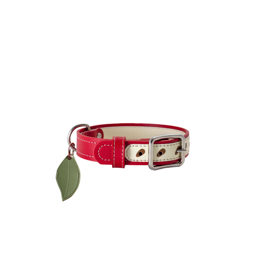 The Apple Collar