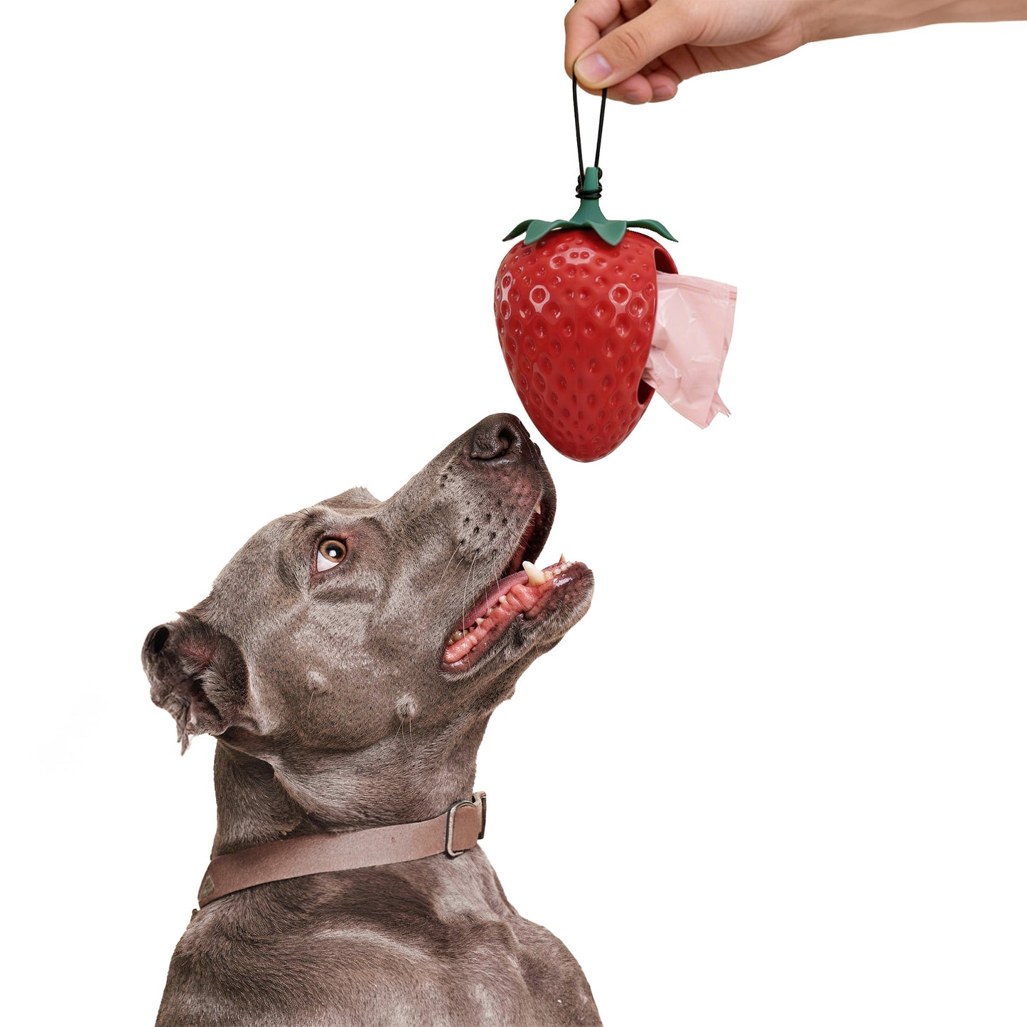 The Strawberry Poop Bag Holder - pink