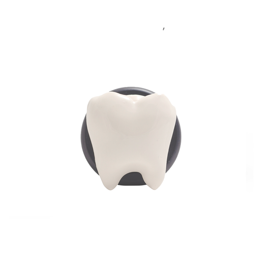 The Tooth Stand®