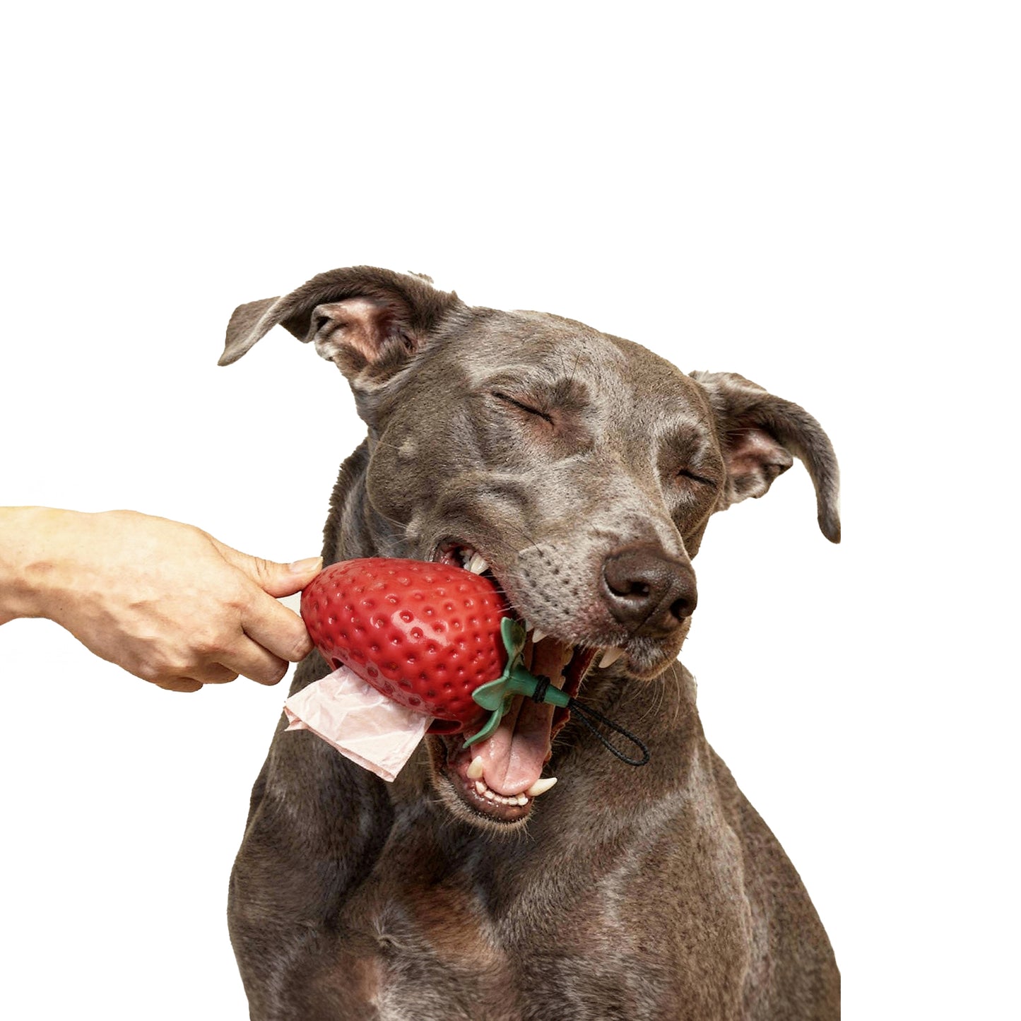 The Strawberry Poop Bag Holder - pink