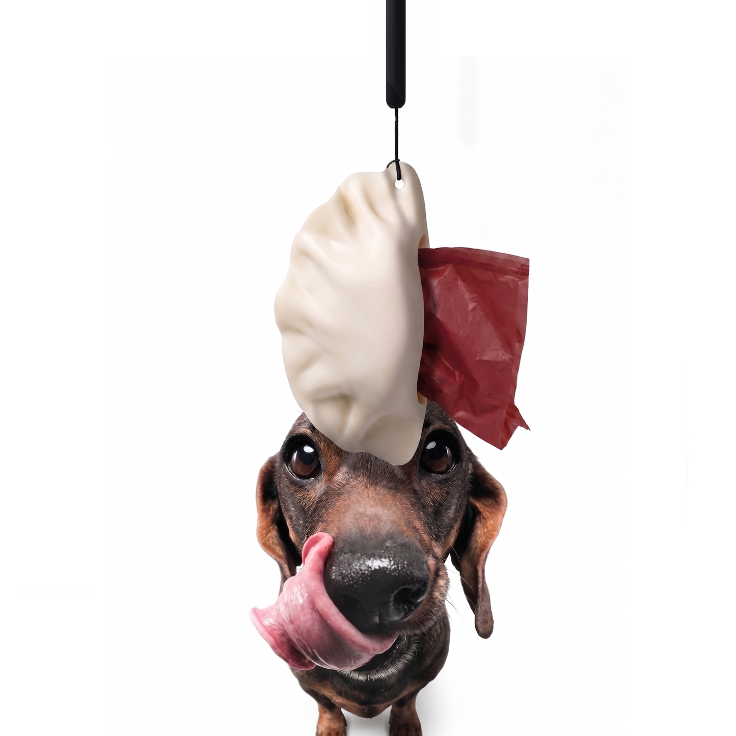 Dumplings Poop Bag Holder