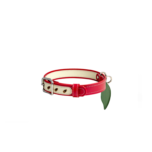 The Apple Collar